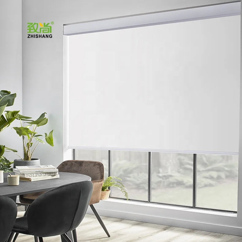 ZSTARR Alexa Smart Electric Roller Blinds  Smart Home Products  Remote Blind Wifi Blind Roller Shades for Window