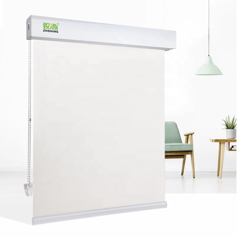 ZSTARR Alexa Smart Electric Roller Blinds  Smart Home Products  Remote Blind Wifi Blind Roller Shades for Window