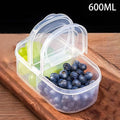 〔W〕Fruit Vegetable Packaging Food Storage Box Kitchen Refrigerator Fresh-keeping Box Classified Grid Food Storage Containers