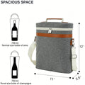 2 /3 Bottles Insulated Wine Carrier Bag for Travel,  Perfect Wine Lover's Gift, Great for Picnics and Outdoor Entertaining